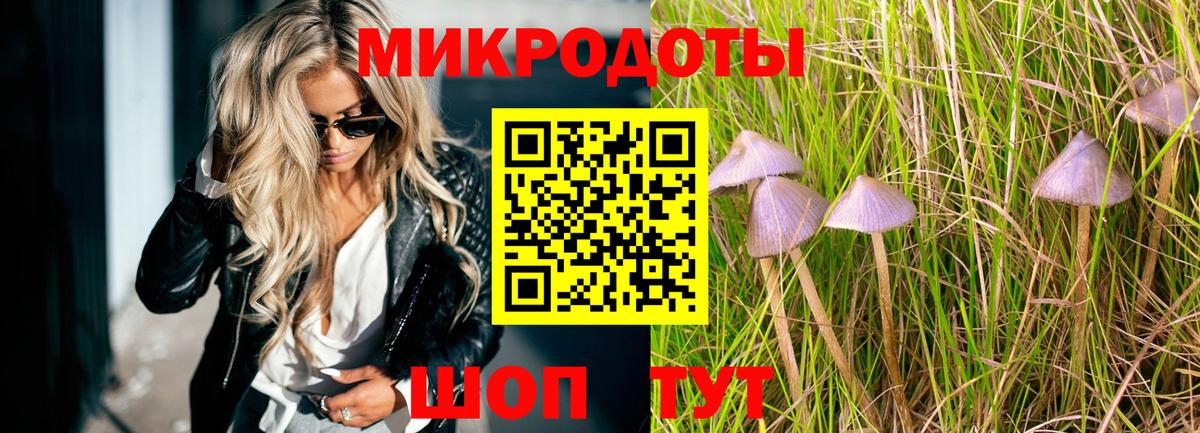 Дальнегорск  Псилоцибиновые грибы Cubensis  наркота  Вход с VPN 